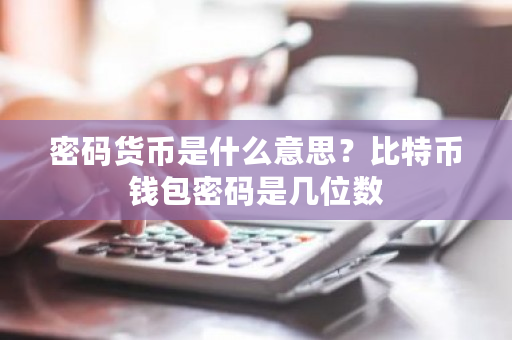 密码货币是什么意思?比特币钱包密码是几位数-第1张图片-ZBLOG 密码货币是什么意思?比特币钱包密码是几位数-第1张图片-ZBLOG