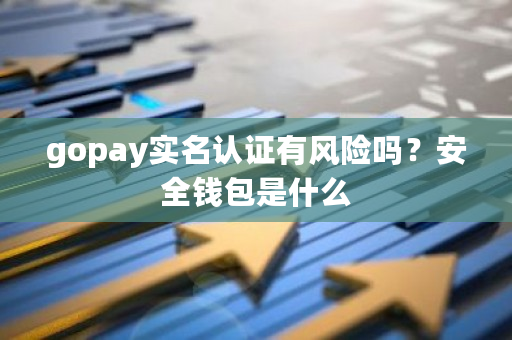gopay实名认证有风险吗?安全钱包是什么-第1张图片-ZBLOG gopay实名认证有风险吗?安全钱包是什么-第1张图片-ZBLOG