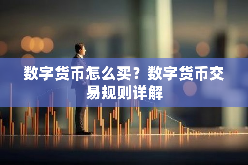 数字货币怎么买?数字货币交易规则详解-第1张图片-ZBLOG 数字货币怎么买?数字货币交易规则详解-第1张图片-ZBLOG