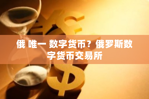 俄 唯一 数字货币?俄罗斯数字货币交易所-第1张图片-ZBLOG 俄 唯一 数字货币?俄罗斯数字货币交易所-第1张图片-ZBLOG