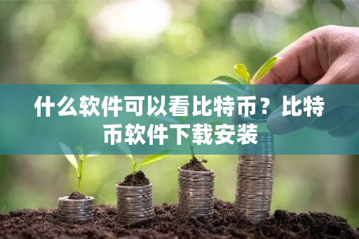 什么软件可以看比特币?比特币软件下载安装-第1张图片-ZBLOG 什么软件可以看比特币?比特币软件下载安装-第1张图片-ZBLOG