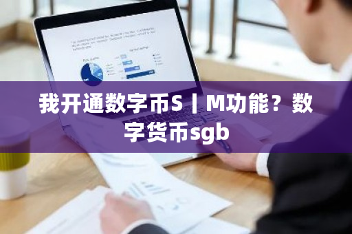 我开通数字币S丨M功能?数字货币sgb-第1张图片-ZBLOG 我开通数字币S丨M功能?数字货币sgb-第1张图片-ZBLOG
