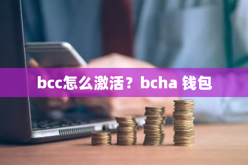 bcc怎么激活?bcha 钱包-第1张图片-ZBLOG bcc怎么激活?bcha 钱包-第1张图片-ZBLOG