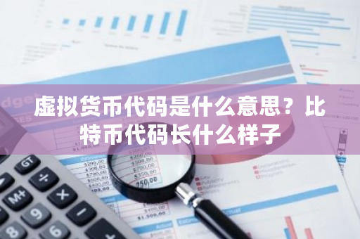虚拟货币代码是什么意思?比特币代码长什么样子-第1张图片-ZBLOG 虚拟货币代码是什么意思?比特币代码长什么样子-第1张图片-ZBLOG