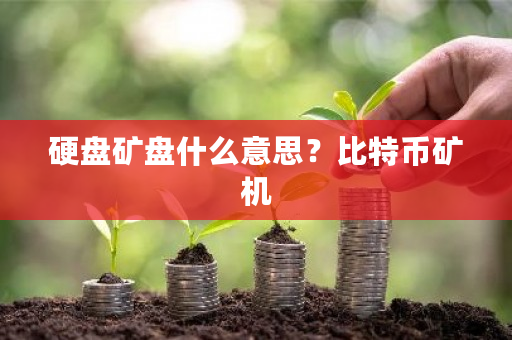硬盘矿盘什么意思?比特币矿机-第1张图片-ZBLOG 硬盘矿盘什么意思?比特币矿机-第1张图片-ZBLOG