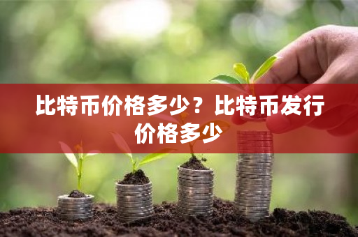 比特币价格多少?比特币发行价格多少-第1张图片-ZBLOG 比特币价格多少?比特币发行价格多少-第1张图片-ZBLOG