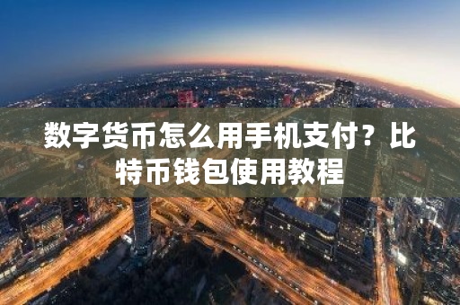 数字货币怎么用手机支付？比特币钱包使用教程-第1张图片-ZBLOG