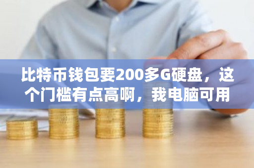 比特币钱包要200多G硬盘，这个门槛有点高啊，我电脑可用空间没有200G怎么玩？比特币硬件钱包怎么用-第1张图片-ZBLOG