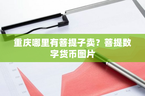 重庆哪里有菩提子卖?菩提数字货币图片-第1张图片-ZBLOG 重庆哪里有菩提子卖?菩提数字货币图片-第1张图片-ZBLOG