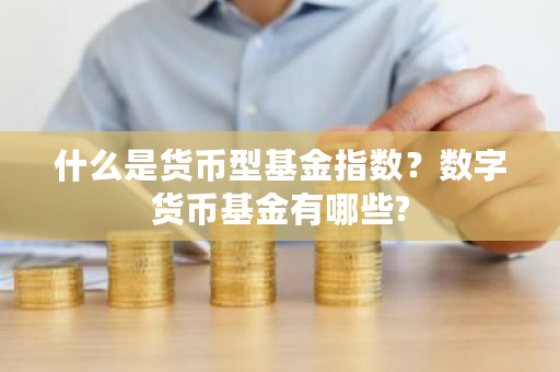 什么是货币型基金指数?数字货币基金有哪些?-第1张图片-ZBLOG 什么是货币型基金指数?数字货币基金有哪些?-第1张图片-ZBLOG