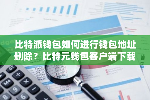 比特派钱包如何进行钱包地址删除?比特元钱包客户端下载-第1张图片-ZBLOG 比特派钱包如何进行钱包地址删除?比特元钱包客户端下载-第1张图片-ZBLOG