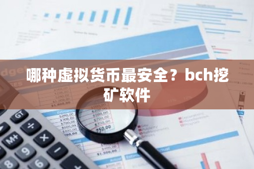 哪种虚拟货币最安全？bch挖矿软件-第1张图片-ZBLOG