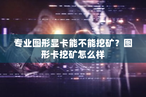 专业图形显卡能不能挖矿?图形卡挖矿怎么样-第1张图片-ZBLOG 专业图形显卡能不能挖矿?图形卡挖矿怎么样-第1张图片-ZBLOG