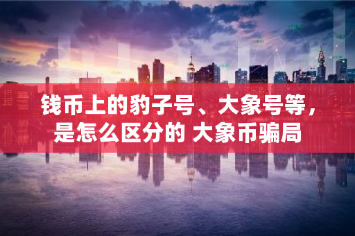 钱币上的豹子号、大象号等，是怎么区分的 大象币骗局