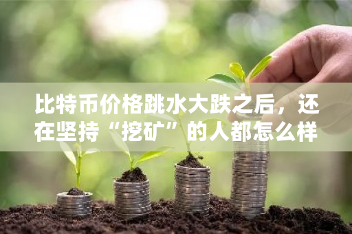 比特币价格跳水大跌之后，还在坚持“挖矿”的人都怎么样了？怎么挖矿获得比特币-第1张图片-ZBLOG