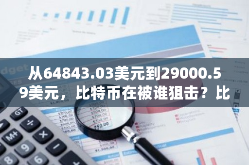从64843.03美元到29000.59美元，比特币在被谁狙击？比特币 笑话-第1张图片-ZBLOG