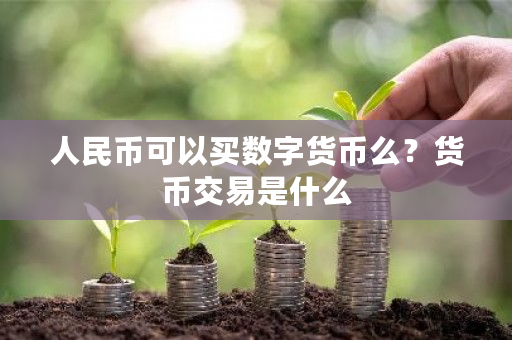 人民币可以买数字货币么？货币交易是什么-第1张图片-ZBLOG