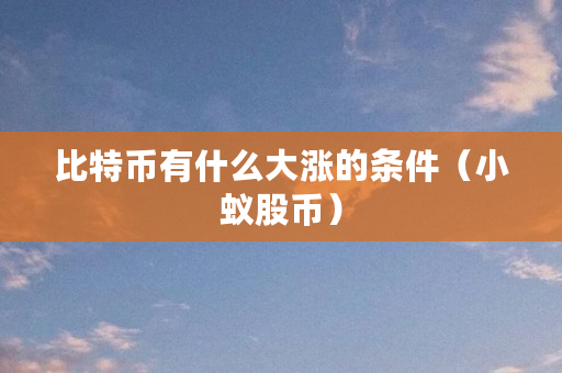 比特币有什么大涨的条件（小蚁股币）