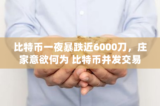比特币一夜暴跌近6000刀，庄家意欲何为 比特币并发交易