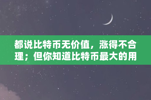 都说比特币无价值，涨得不合理；但你知道比特币最大的用途吗（为什么只收比特币不收美元）