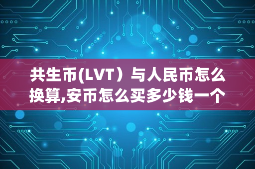 共生币(LVT）与人民币怎么换算,安币怎么买多少钱一个