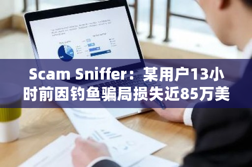 Scam Sniffer：某用户13小时前因钓鱼骗局损失近85万美元DEGEN