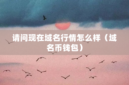 请问现在域名行情怎么样（域名币钱包）