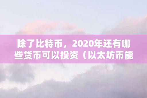 除了比特币，2020年还有哪些货币可以投资（以太坊币能买什么东西）
