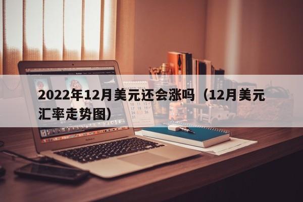 2022年12月美元还会涨吗（12月美元汇率走势图）