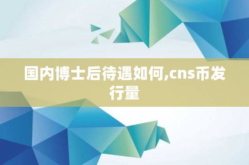 国内博士后待遇如何,cns币发行量