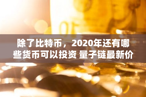 除了比特币，2020年还有哪些货币可以投资 量子链最新价格