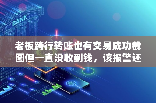老板跨行转账也有交易成功截图但一直没收到钱，该报警还是起诉,跨行转账截图软件在线使用
