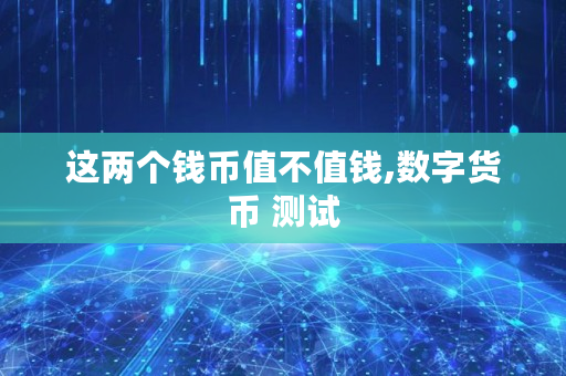 这两个钱币值不值钱,数字货币 测试