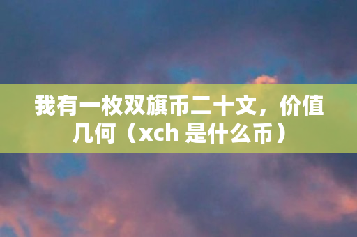 我有一枚双旗币二十文,价值几何(xch 是什么币) 我有一枚双旗币二十文,价值几何(xch 是什么币)