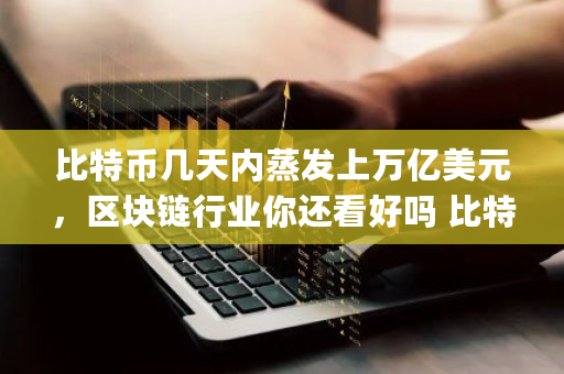 比特币几天内蒸发上万亿美元，区块链行业你还看好吗 比特币先驱pass nft