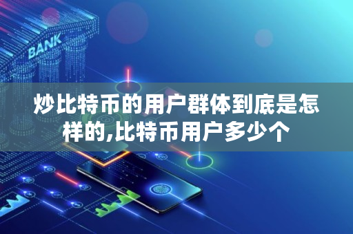 炒比特币的用户群体到底是怎样的,比特币用户多少个