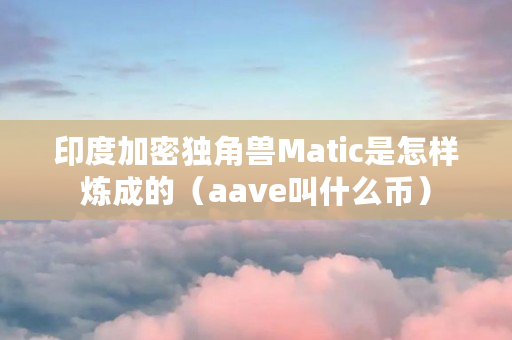 印度加密独角兽Matic是怎样炼成的（aave叫什么币）