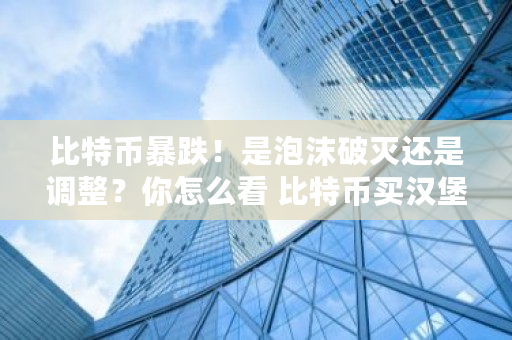 比特币暴跌！是泡沫破灭还是调整？你怎么看 比特币买汉堡用了多少钱
