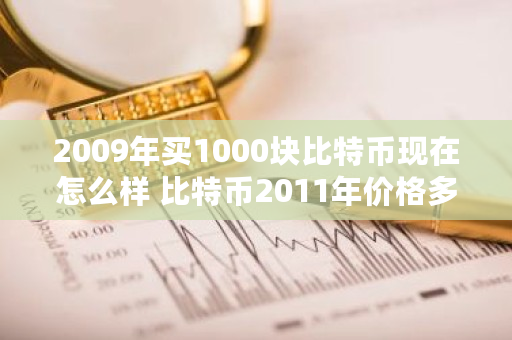 2009年买1000块比特币现在怎么样 比特币2011年价格多少钱一个