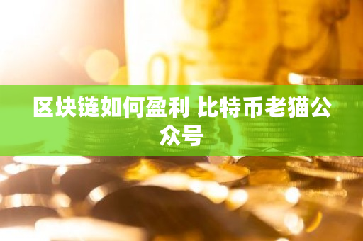 区块链如何盈利 比特币老猫公众号