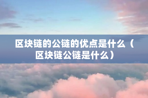 区块链的公链的优点是什么（区块链公链是什么）