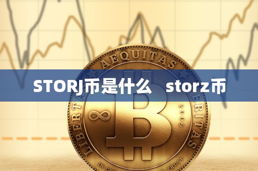 STORJ币是什么   storz币