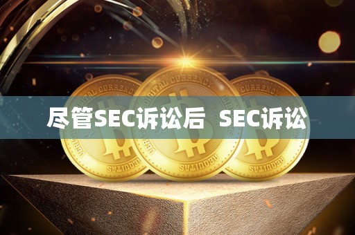 尽管SEC诉讼后 SEC诉讼 尽管SEC诉讼后 SEC诉讼