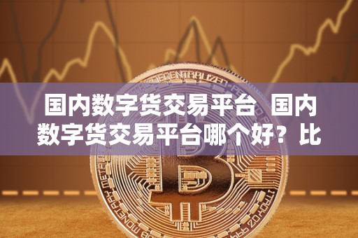国内数字货交易平台 国内数字货交易平台哪个好?比较国内数字货交易平台的优劣 国内数字货交易平台 国内数字货交易平台哪个好?比较国内数字货交易平台的优劣