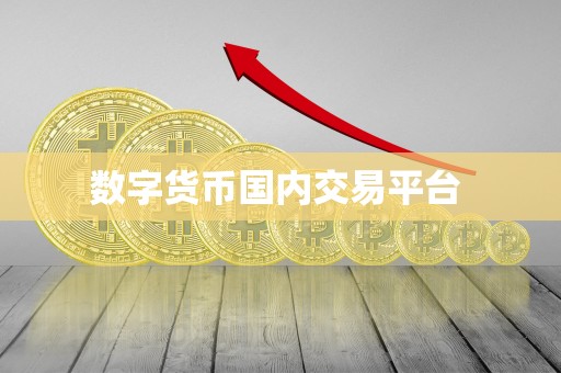 数字货币国内交易平台 数字货币国内交易平台