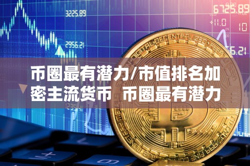 币圈最有潜力/市值排名加密主流货币 币圈最有潜力的加密货币市值排名及主流货币分析 币圈最有潜力/市值排名加密主流货币 币圈最有潜力的加密货币市值排名及主流货币分析