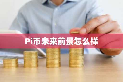 Pi币未来前景怎么样
