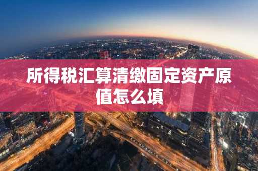 所得税汇算清缴固定资产原值怎么填