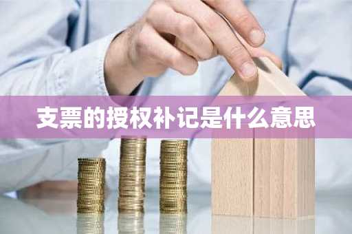 支票的授权补记是什么意思