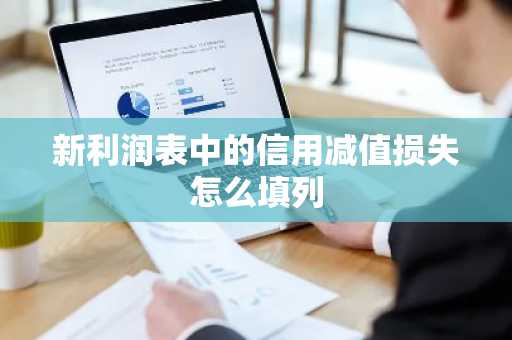 新利润表中的信用减值损失怎么填列